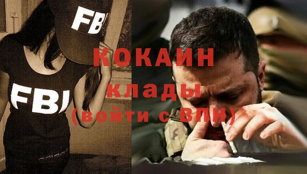 гидра Горняк