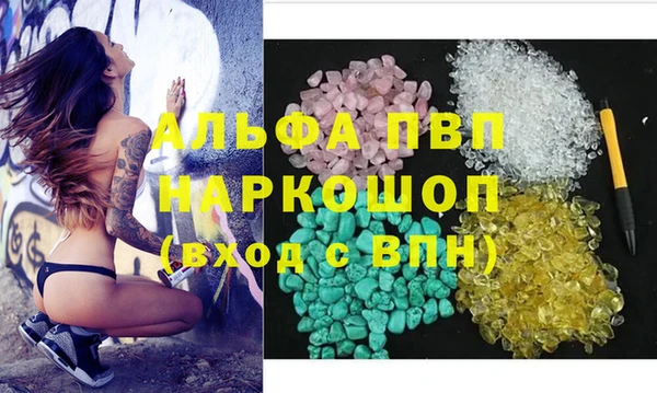 индика Балахна